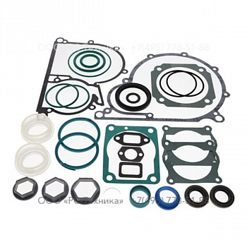 3310102566 ENGINE SEAL KIT