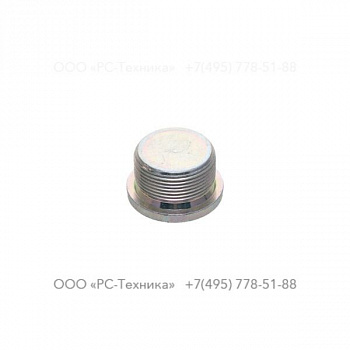 2913100300 SCREW PLUG