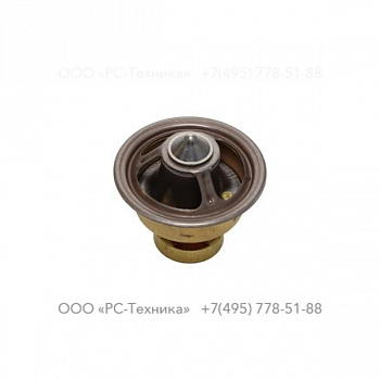 2914200266 THERMOSTATIC VALVE