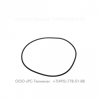 4810001251 O-RING