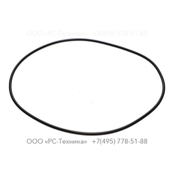 0663210173 O-RING