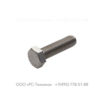 4810002057 SCREW