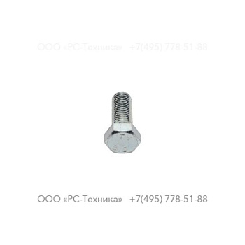 4810001973 SCREW