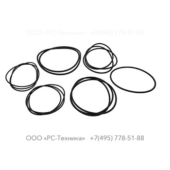 3081720050 O-RING KIT WL100-110N