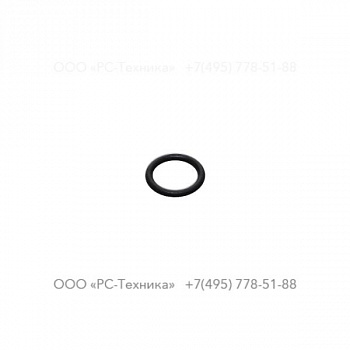 0663909600 O-RING