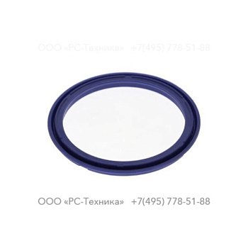 0665099954 PISTON SEAL