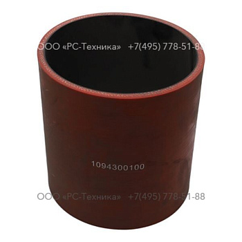 1094300100 HOSE IC