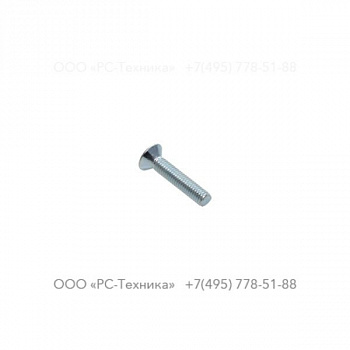 4810054001 Screw
