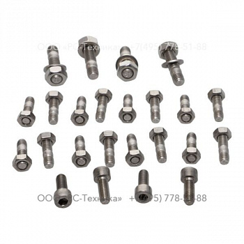 4810014387 SET OF SCREWS - PUMP