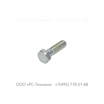 4810001963 SCREW
