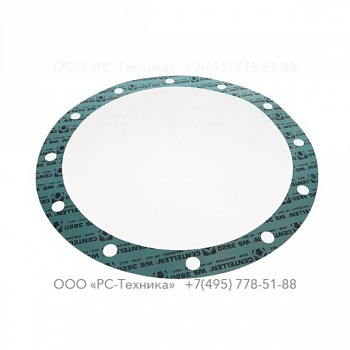 4810005533 CASING GASKET V200