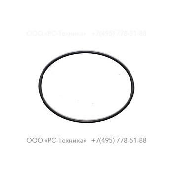 c125868 O-RING IN-034