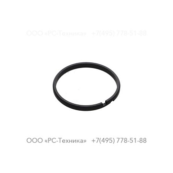 2250587500 PISTON RING