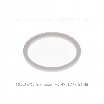 4810002246 GASKET