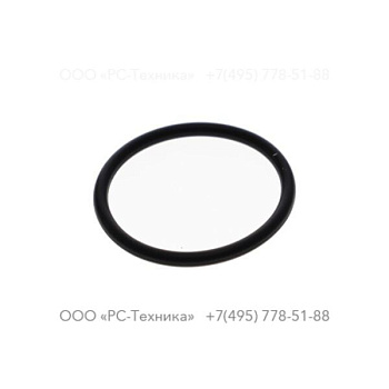 0663313100 O-RING