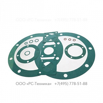 4810008706 SET OF GASKETS V100-2