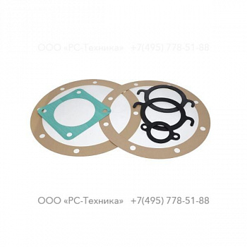 4810014330 SET OF GASKETS