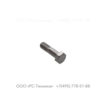 4810002075 SCREW