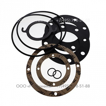4810019603 GASKET SETS ST4 G