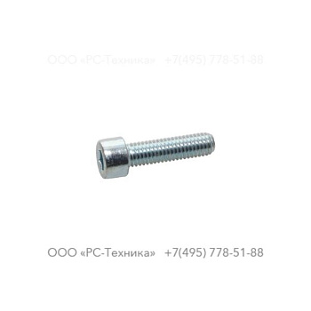 4810001898 SCREW