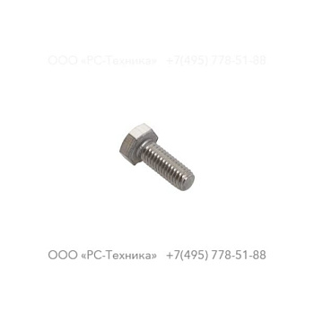 4810002022 SCREW