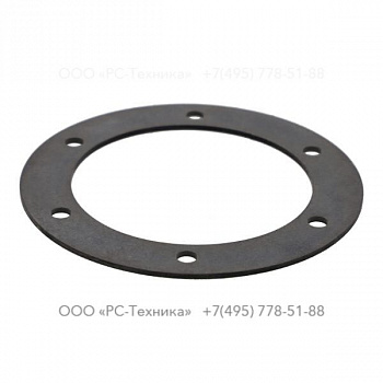 4810069652 GASKET