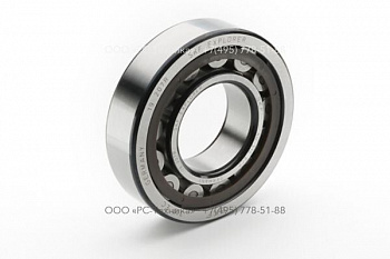 4810056534 BEARING,PAS100/150