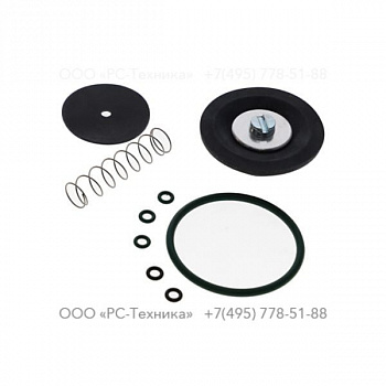 2906056800 ZT110-275 QUICK EXHAUST VLVKIT