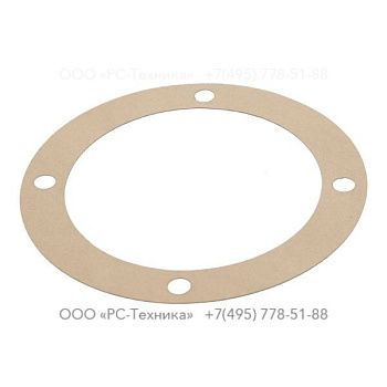 4810024229 GASKET